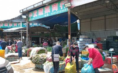 武漢重啟，白沙洲市場重現繁忙景象，采購車流如織保障農副產品供應