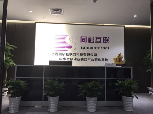 科技雙城記 上海同衫與湛江網(wǎng)絡的創(chuàng)新交響